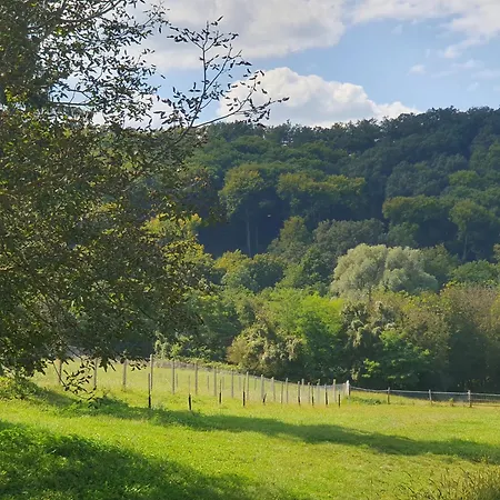 Goforest - 150y Old Vintage Balaton - Max 6 Person * Varvolgy