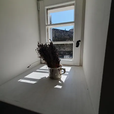 Goforest - 150y Old Vintage Balaton - Max 6 Person *