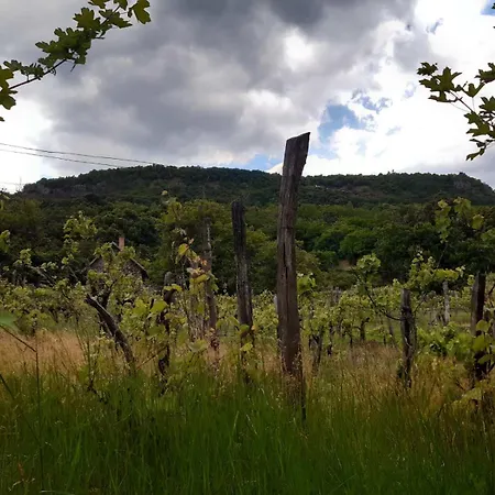 Goforest - 150y Old Vintage Balaton - Max 6 Person Lejlighed