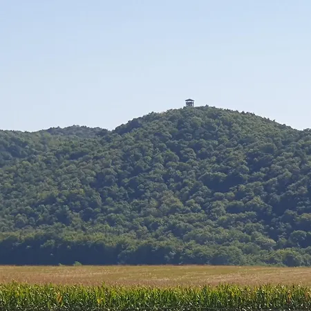 דירה Goforest - 150y Old Vintage Balaton - Max 6 Person Varvolgy