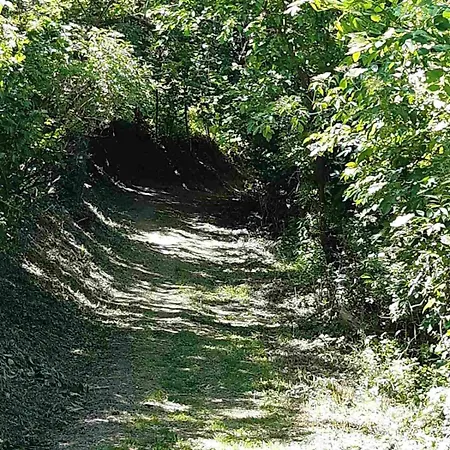 Lejlighed Goforest - 150y Old Vintage Balaton - Max 6 Person