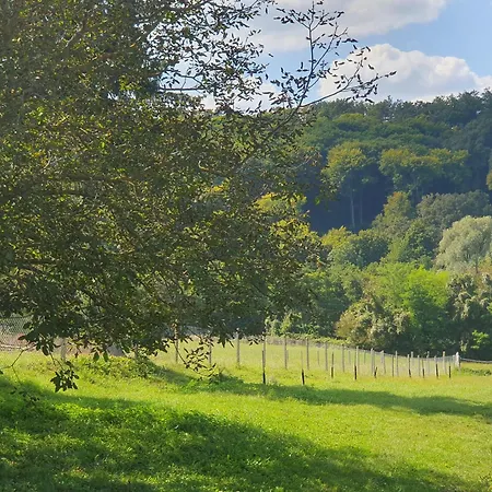 Goforest - 150y Old Vintage Balaton - Max 6 Person