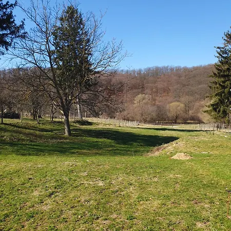 Goforest - 150y Old Vintage Balaton - Max 6 Person * Varvolgy