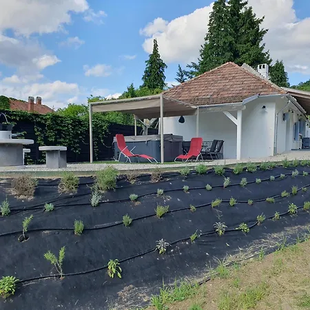 Διαμέρισμα Goforest - 150y Old Vintage Balaton - Max 6 Person