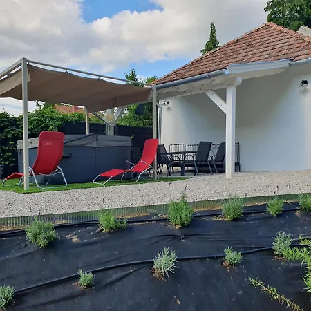 Goforest - 150y Old Vintage Balaton - Max 6 Person * Varvolgy