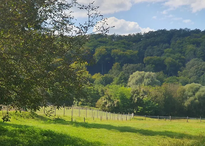 Goforest - 150y Old Vintage Balaton - Max 6 Person * Varvolgy