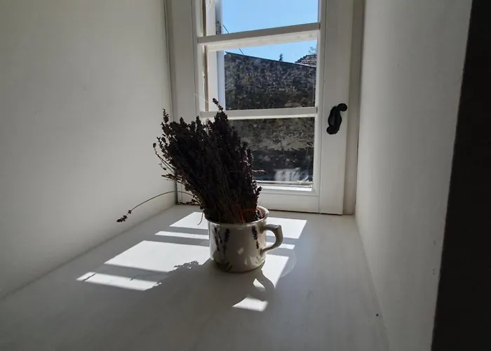 Goforest - 150y Old Vintage Balaton - Max 6 Person *