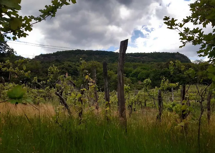 Goforest - 150y Old Vintage Balaton - Max 6 Person شقة