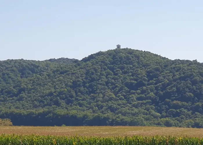 Appartement Goforest - 150y Old Vintage Balaton - Max 6 Person Varvolgy