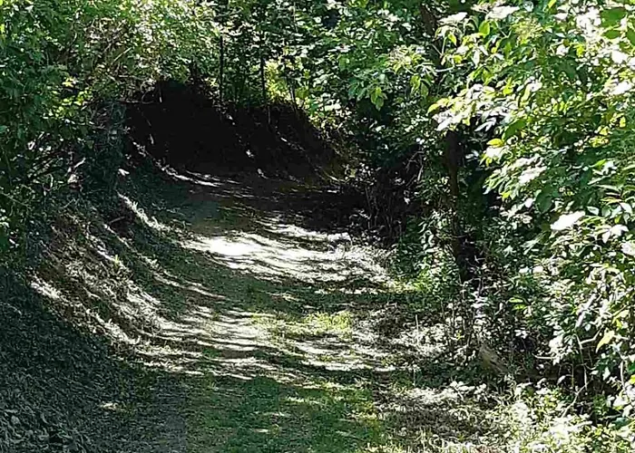 Appartement Goforest - 150y Old Vintage Balaton - Max 6 Person