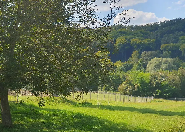 Goforest - 150y Old Vintage Balaton - Max 6 Person