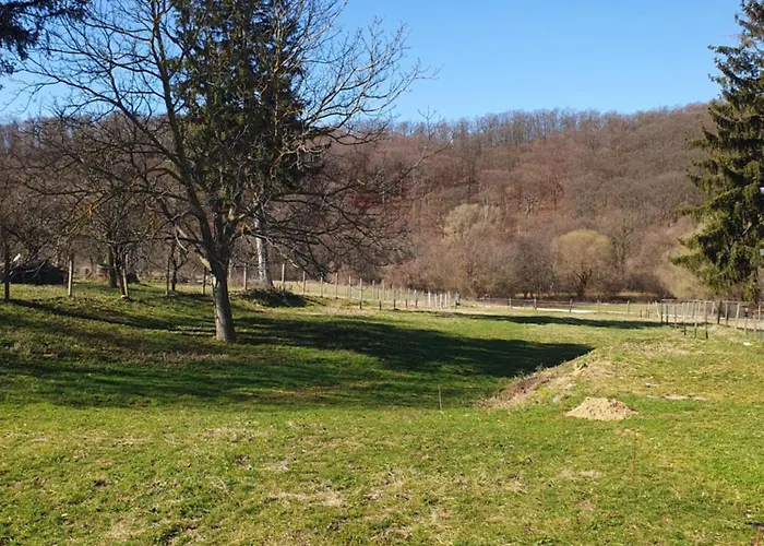 Goforest - 150y Old Vintage Balaton - Max 6 Person * Varvolgy