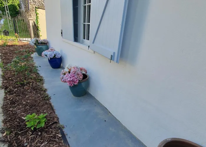 Appartement Goforest - 150y Old Vintage Balaton - Max 6 Person *