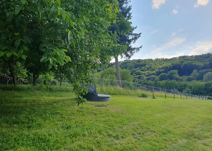 Goforest - 150y Old Vintage Balaton - Max 6 Person Varvolgy